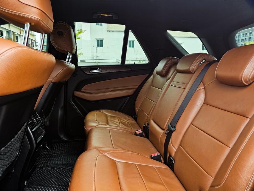 GLE500e 17