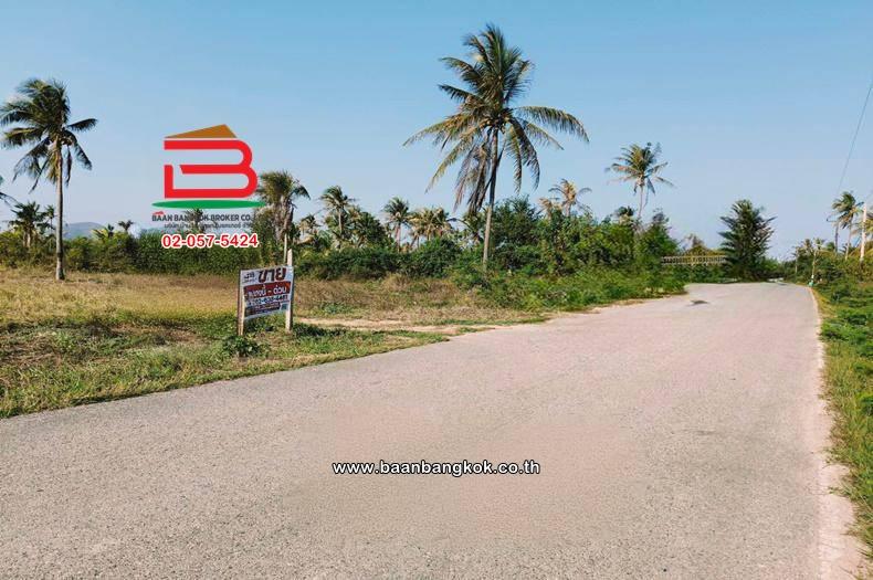 ที่ดินเปล่า เนื้อที่ 33-0-38 ไร่ ซอยสันตินคร ใกล้หมู่บ้านศิริวรรณ ถนนเพชรเกษม ตำบลอ่าวน้อย อำเภอเมืองประจวบคีรีขันธ์ ประจวบคีรีขันธ์ 3