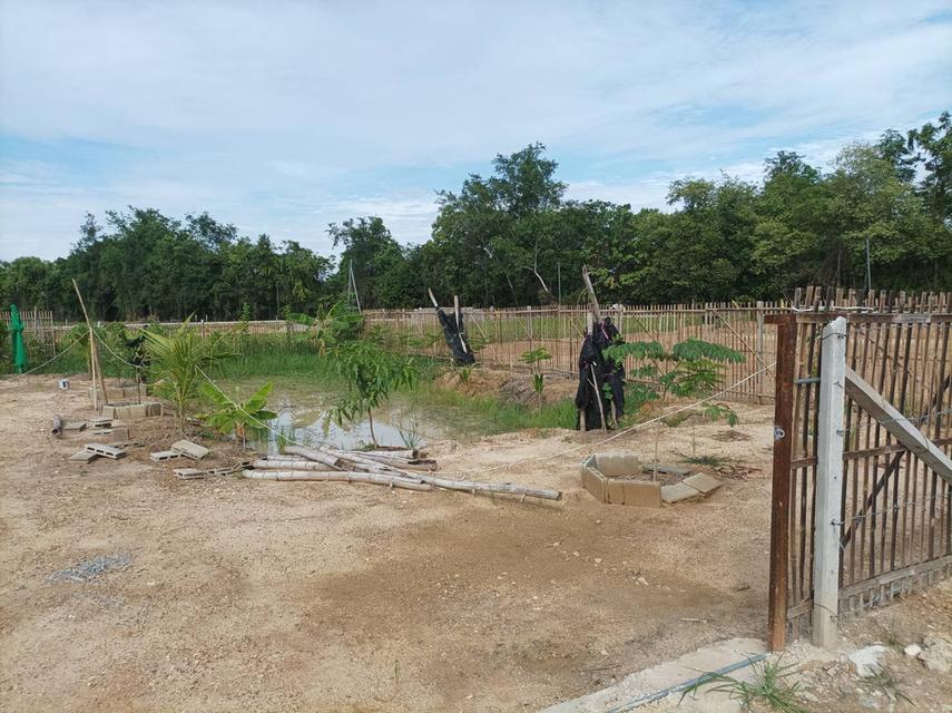 ขายที่ดินเปล่าพร้อมถม ต.สง่าบ้าน อ.ดอยสะเก็ด จ.เชียงใหม่ รูปที่ 8