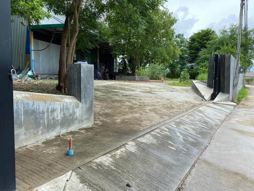 ที่ดินพร้อมสิ่งปลูกสร้าง บ้านวังสิงห์คำ ต.ป่าแดด อ.เมืองเชียงใหม่ 7