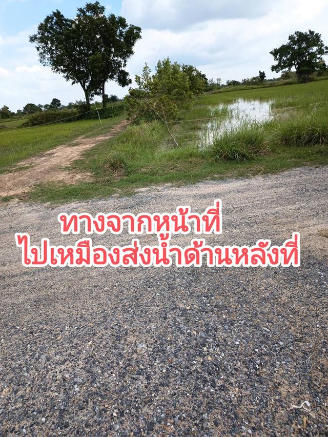 ที่นาสวย**เจ้าของขายเอง**ด้านหน้าติดถนน*ด้านหลังติดเหมืองส่งน้ำ*มีถนนเลียบข้างที่จากด้านหน้าที่ไปหลังที่*เข้าออกได้หลายทาง*2 กม.จากถนน2068 ไร่ละ85,000 2