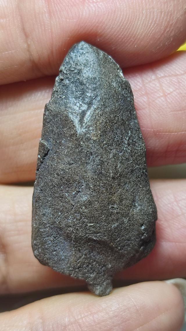 พระเก่า เนื้อหาเก่า หลวงปู่ทวด ว่าน รูปที่ 2