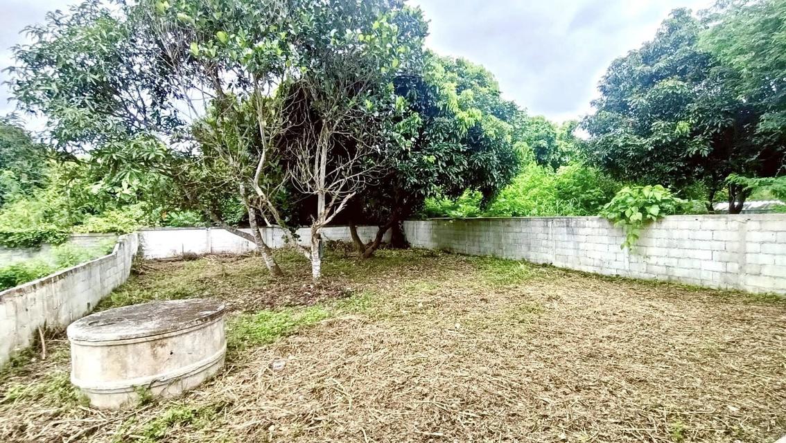 WC09 บ้านพร้อมที่ดินห้างฉัตร ลำปาง 15