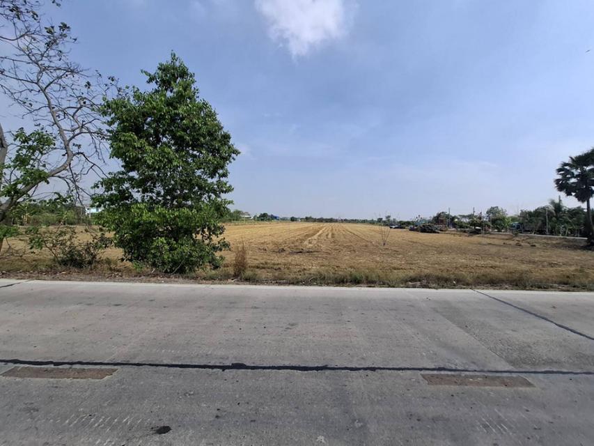 ขายที่ดิน 19 ไร่เศษ ต.บางหลวง เมืองปทุมธานี แปลงสี่เหลี่ยมสวย ติดถนนหน้าหลัง ใกล้ราชพฤกษ์ตัดใหม่-กาญจนาฯ ราคาพิเศษ เหมาะ 6