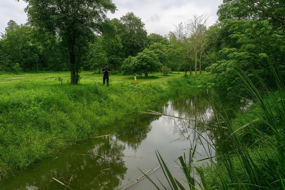 ขายที่ดินติดธารน้ำ-ลำห้วย วิวธรรมชาติ ต.แม่แรม อ.แม่ริม เชียงใหม่ 3.167 ไร่ ราคา 13.6 ล้านบาท 2