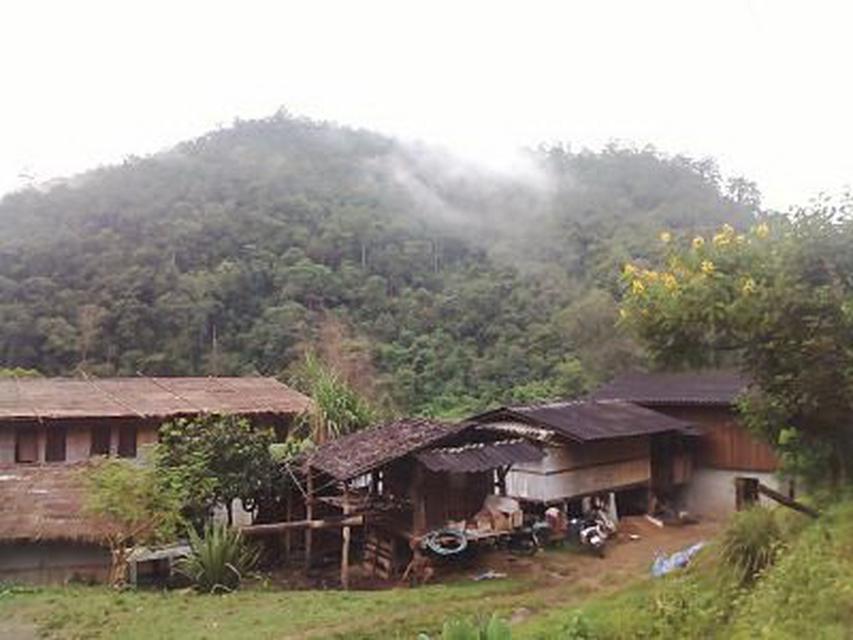 HOME STAY 10 UNITS FOR LEASE LONG TERM ON THE TOP HILL MOUNT 1