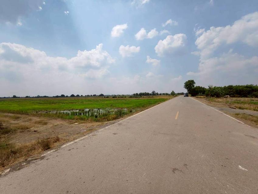 ขายด่วน! ที่ดินบางน้ำเปรี้ยว 15 ไร่ 1 งาน 34 ตารางวา ติดถนนลาดยางสาธารณะ ทำเลทอง ราคาถูกที่สุดในย่านนี้ รูปที่ 5