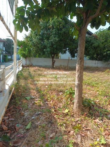 ที่ดิน ขายที่ดินเปล่าถมแล้ว ซ.ลาดพร้าว 94 (ตรงข้ามห้างอิมพิเรียล เวิลด์ ลาดพร้าว) 88 ตร.ว. ราคา 15 ล้านบาท (โอนฟรี) ใหญ่ 1