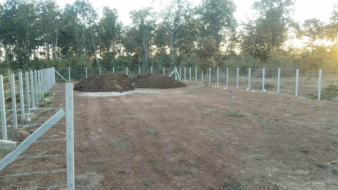 ขายที่ดินเปล่า 1งาน ต.ท่าแร่ สกลนคร 1