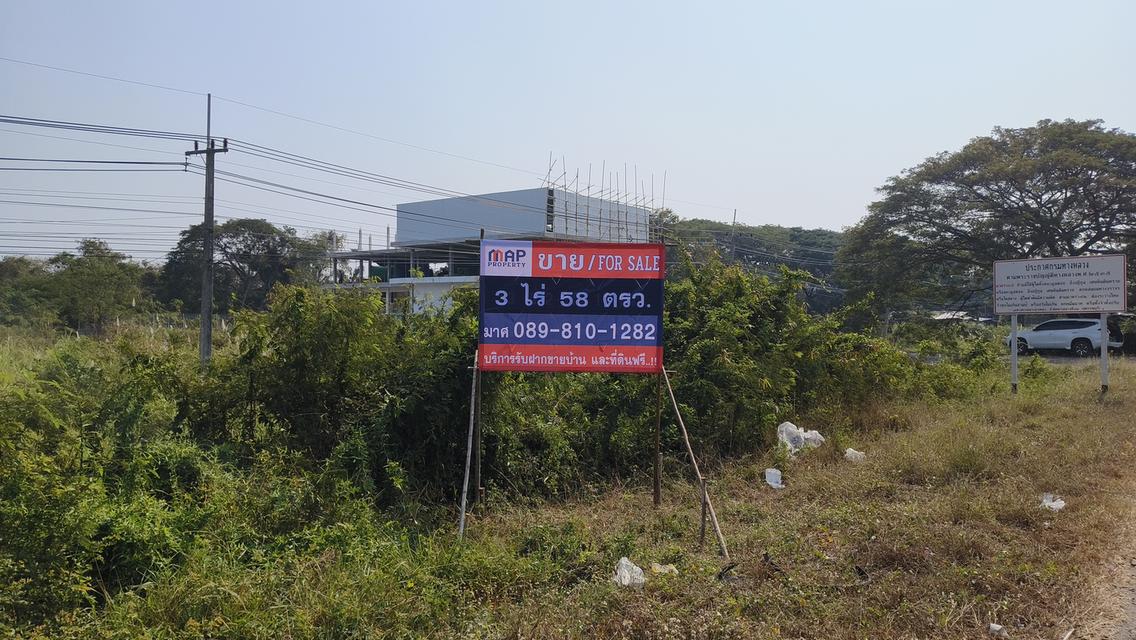 ขายด่วน ที่ดินทำเลทอง 3 ไร่เศษ ติดถนนสายเอเชีย ใกล้เมืองอ่างทอง 6