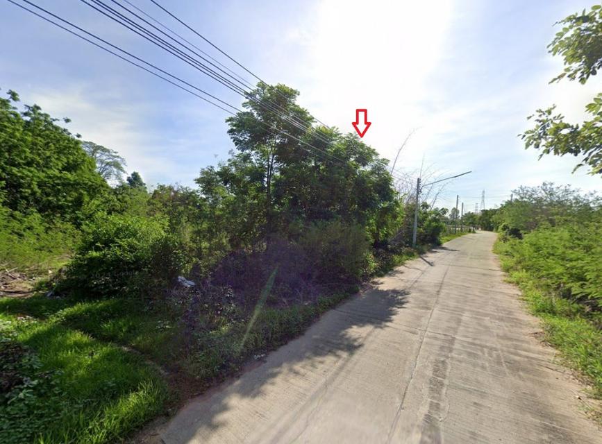 ขายที่ดินนครสวรรค์ 4 ไร่ 3 งาน 40 ตร.ว. ติดถนนเขาไม้เดน ใกล้เมืองโบราณโคกไม้เดน 2