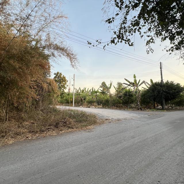 ที่ดินพร้อมสิ่งปลูกสร้าง 2