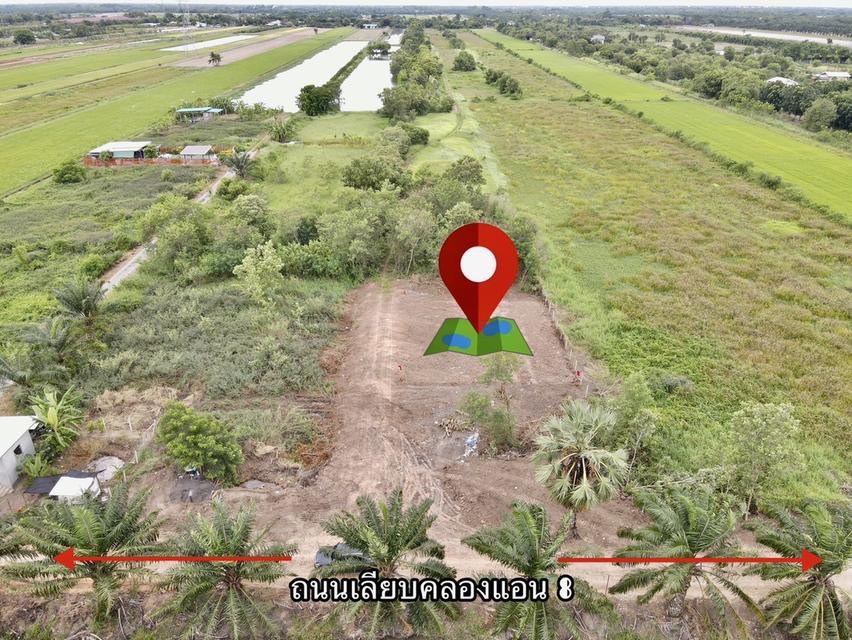 ที่ดินคลอง 8 ปทุมธานี 100 ตรว. 2