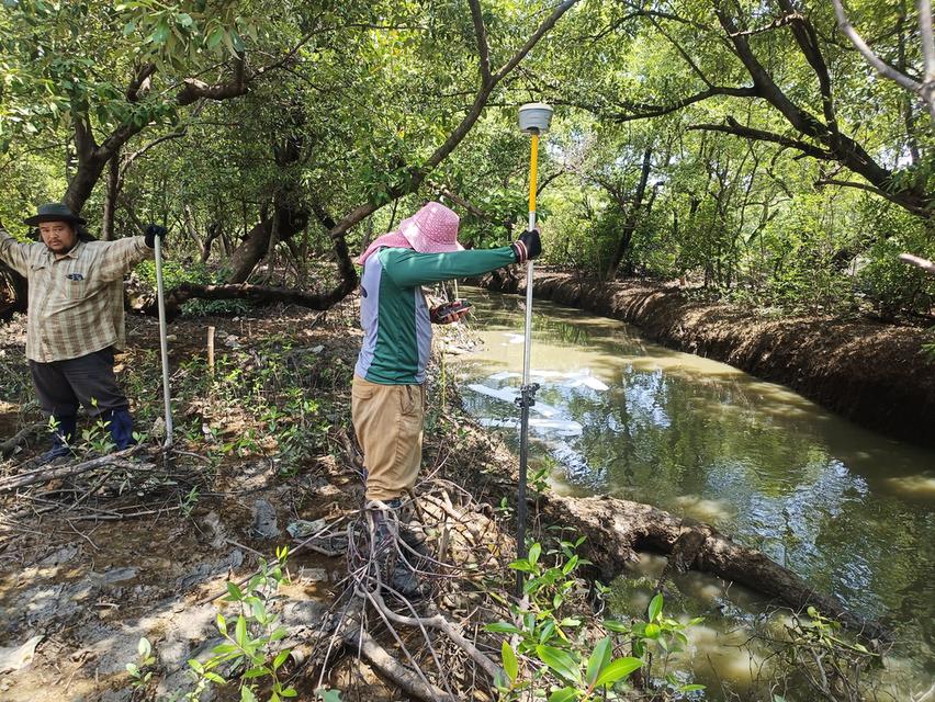 ที่ดินเปล่าริมน้ำ คลองด่าน มีต้นไม้ใหญ่ 5
