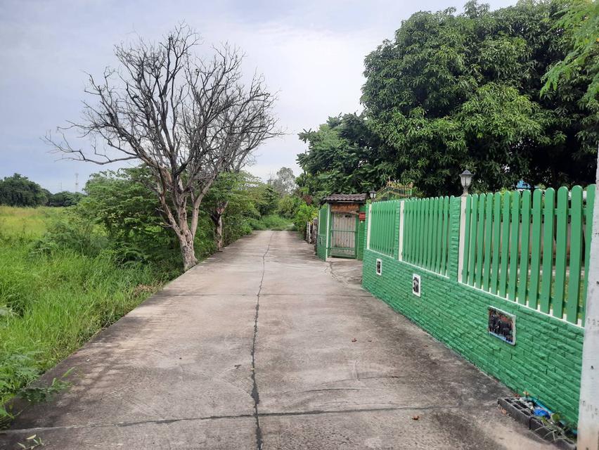 บ้านเดี่ยว สองชั้น พร้อมที่ดิน131 ตรว. 17
