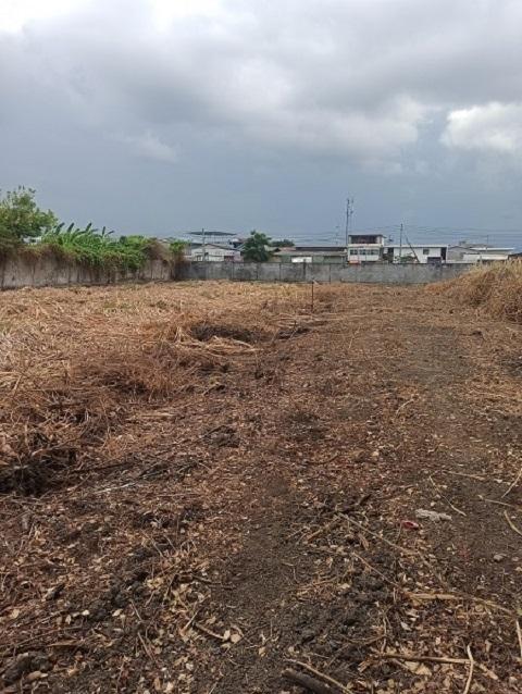  ที่ดินแบ่งขาย50ตรว. 100ตรว. 200ตรว. พระราม2  บางกระดี่ บางขุนเทียน กรุงเทพ 2