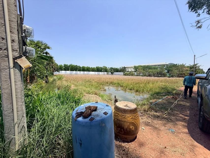 Vายทีดิน 400 ตารางวา ติดถนนสาธารณะ ซอยคันลำ3/2 เมืองนครปฐม 6