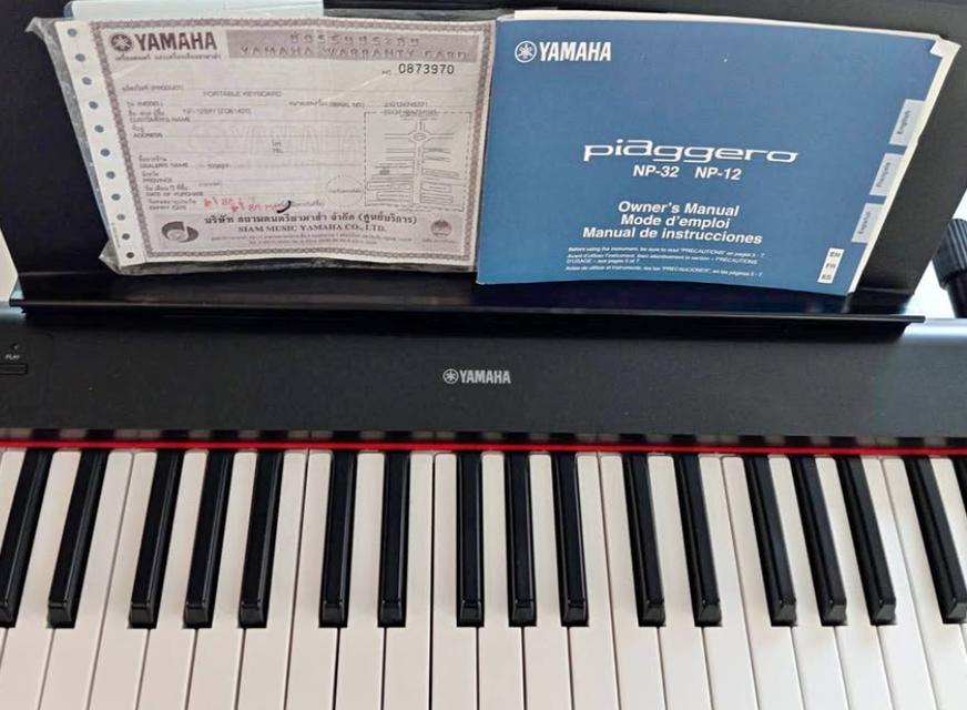 Yamaha Np12