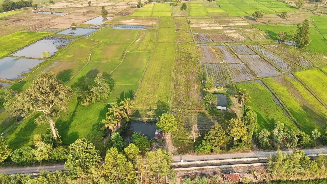 🔥🔥🔥 ด่วนที่สุด! ราคานี้มีแปลงเดียว 🔥🔥🔥 🌾 ขายที่นา-ที่สวน ทำเลดี ใกล้เทศบาลบ้านตาด 📍 ต.บ้านตาด อ.เมือง จ.อุดรธานี 📐 เนื้อที่ 3 ไร่ 2 งาน 77 ตร 6