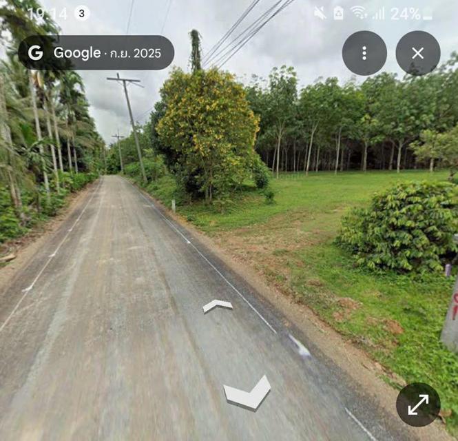 ไร่ยาง นส.4 จ. ครุฑแดง 4 ไร่กว่า พร้อมทำรายได้ทันที 3