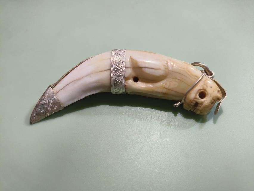 งาช้างแกะรูปพ่อแก่ เขี้ยวเสือ 3