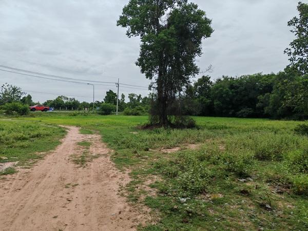 ขายที่ดินเปล่า 16 ไร่ 2 งาน 58 ตร.ว. อำเภอประทาย นครราชสีมา ติดถนน อยู่ในแหล่งชุมชน โทร 083-9169044 3