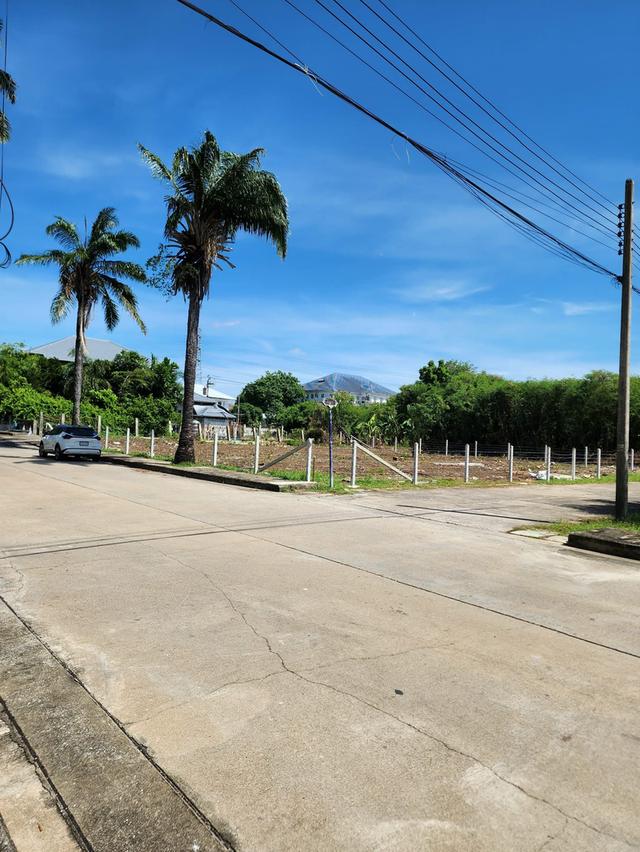 ที่ดิน เปล่าบนถนนพุทธมณทลสาย 1 7