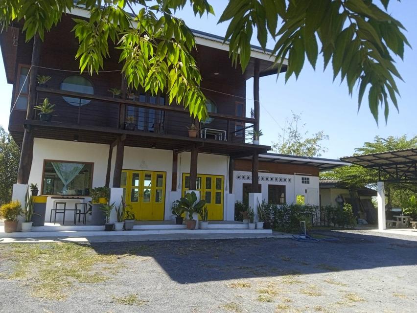 บ้านในสวนว่างให้เช่า 2