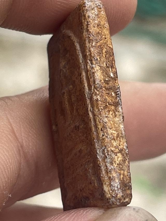 พระบ้าน 20