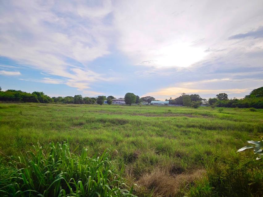 ที่ดินสวยใกล้ชุมชน,ศูนย์ราชการ,โรงงาน,เหมาะกับการลงทุนทำทาวน์โฮมบ้านจัดสรร 4
