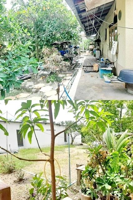 สามพราน นครปฐม 6แอร์ 6นอน 4-6จอดรถ ให้เช่าคฤหาสน์ 2หลัง 2ไร่ 1 1,500ตรม. 3น้ำ ใกล้โลตัส บิ๊กซี ใหญ่มากวัดสว่างอารมณ์ 8