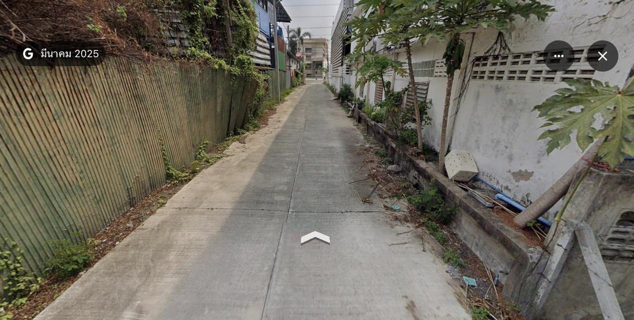 ขายที่ดิน 1 ไร่ 2 งาน ติดถนน 3111 และถนนซอย บางเตย สามโคก ปทุมธานี ปากทางเข้า ตลาดอิงน้ำ 3