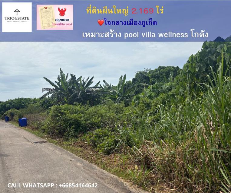 ที่ดินสวย 2 ไร่กว่า อำเภอวิชิต เมืองภูเก็ต 1