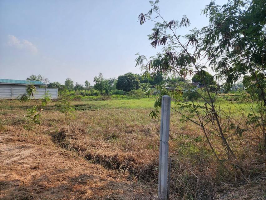 ขายที่ดินเปล่าใกล้เมืองขอนแก่น 12