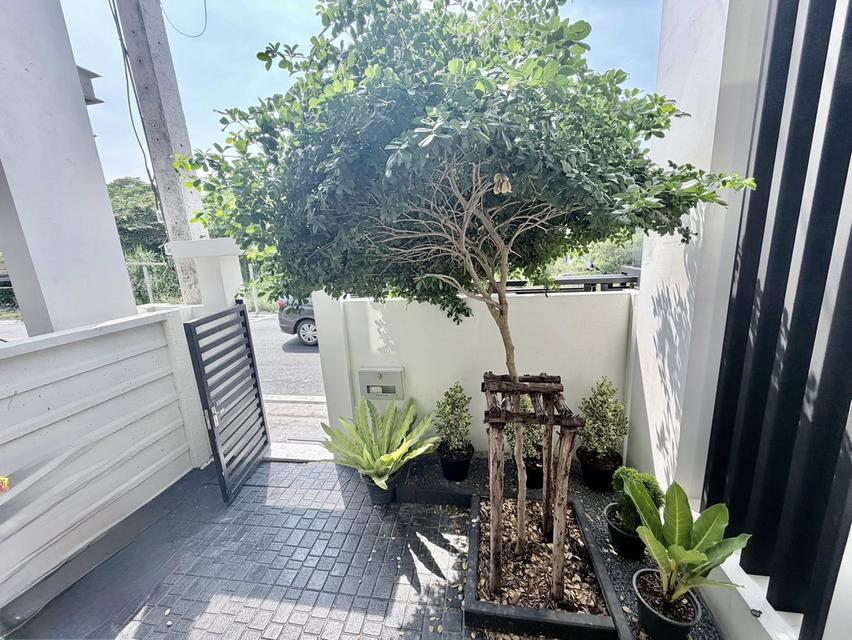 เช่า ขาย บ้านใหม่โครงการ Tanaphol Property เมกกาบางนา 14