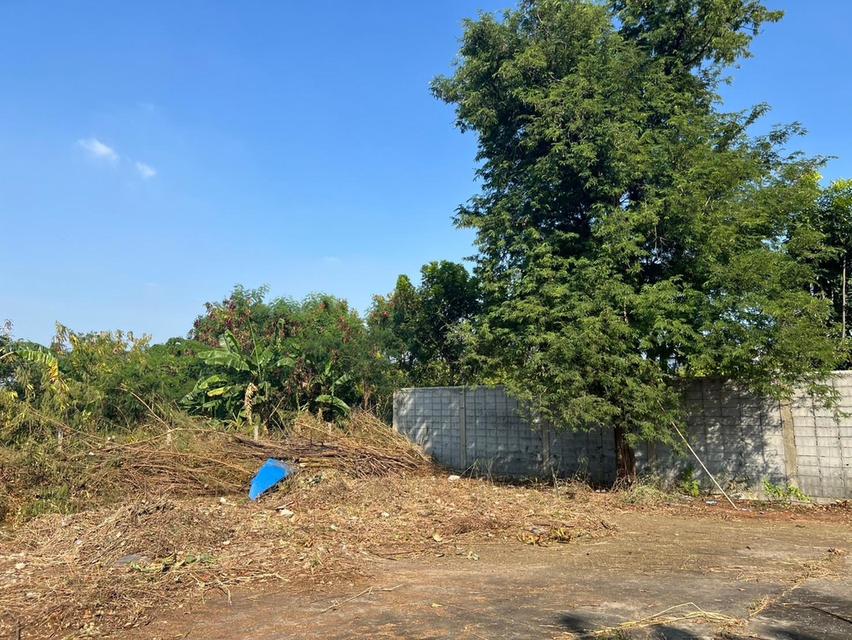 ขาย / ให้เช่า ที่ดินแปลงใหญ่ติดถนนพระราม 9 เนื้อที่ 7-2-85 ไร่ **เจ้าของขายเอง** 9