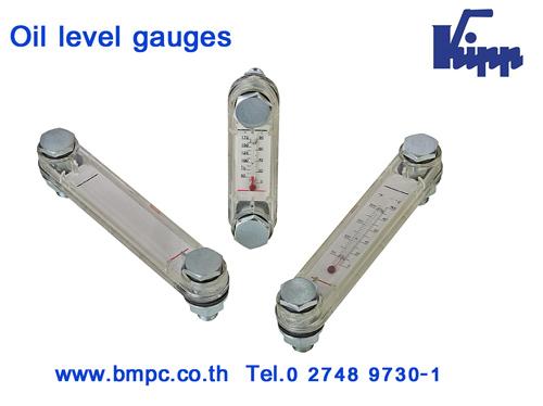 Column level gauge, Oil level indicator, oil sight glasses, Plastic oil plug, Vent screw, Dipstick, Filler neck, Breather screw plug, Disc spring รูปที่ 7