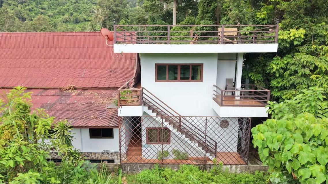 ขายต่อรีสรอทติดทะเลเกาะพงันซื้อปุ๊บรับรายได้ทันทีเพราะมีลูกค้าพักอยู่ตลอดมูลค่าทรัพสินเกือบ20ล้านขายด่วนเะยง16.5ล้าน รูปย่อยที่ 4