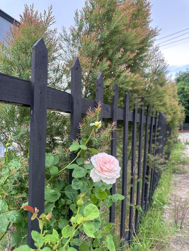 ขายบ้านเดี่ยวหรู 400ตรว.(เหมาะสำหรับครอบครัวใหญ่) (โซนแหลมฉบัง ศรีราชา) 18