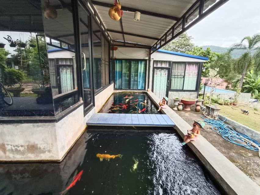 บ้านชั้นเดียวในพื้นที่1ไร่ 9