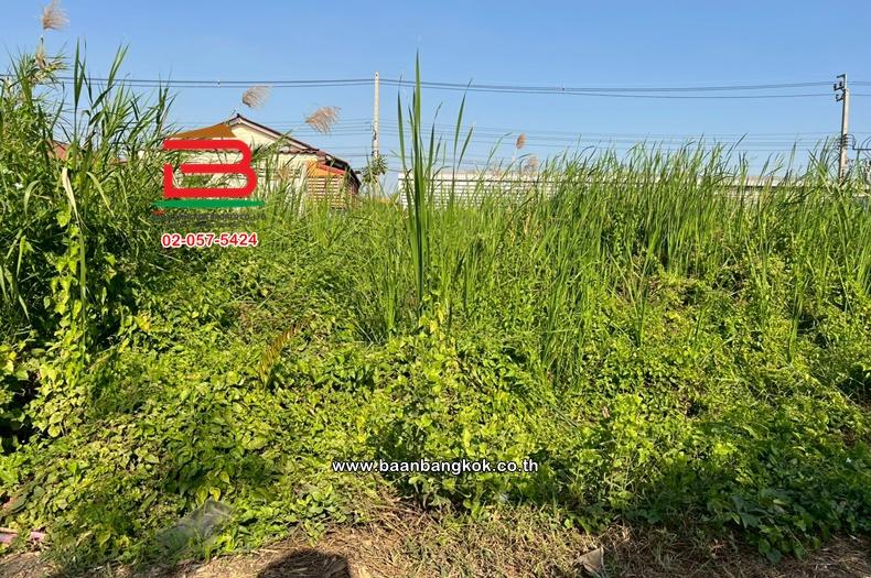 ที่ดินเปล่า เนื้อที่ 99.3 ตร.ว. ซอยแสมดำ 5 แยก 4-2 ถนนพระราม 2 แขวงแสมดำ เขตบางขุนเทียน 5