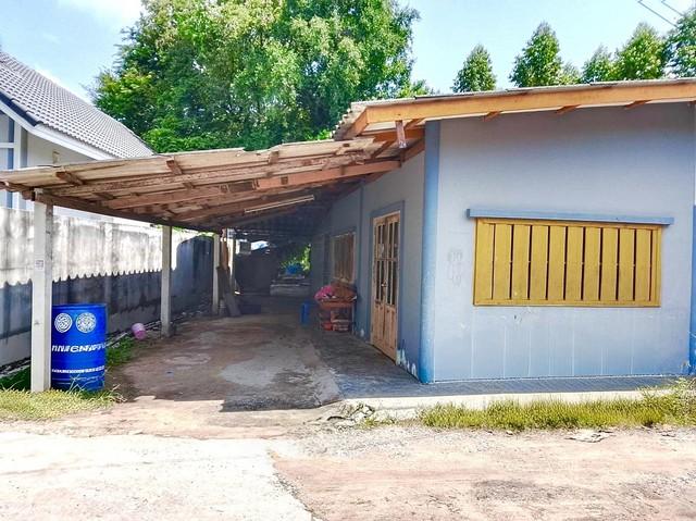 ขายบ้านเดี่ยวสำนักบกเมืองชลบุรี ขายด่วนบ้านเดี่ยวสำนักบกราคาถูก บ้านชั้นเดียวเนื้อที่กว้างขวาง 56 ตรว. 2 นอน 1 น้ำ 2