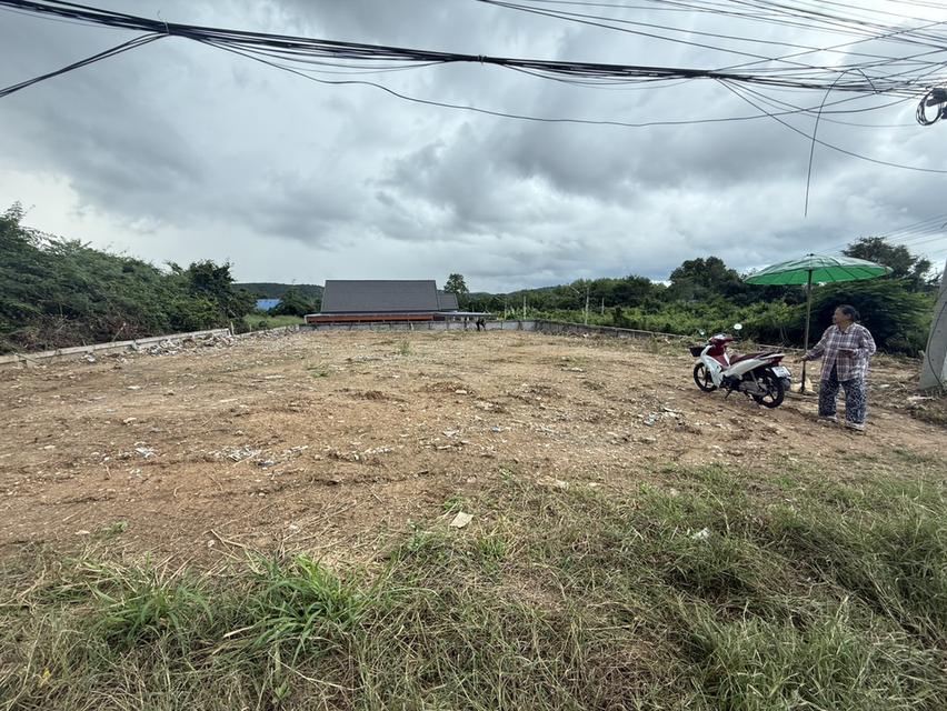 ที่ดิน 3