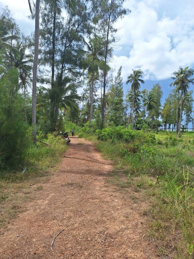 ที่ดิน หาดตะวันฉาย อ.ละแม จ.ชุมพร 1