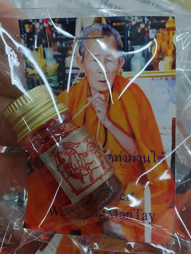 น้ำมันม้าเสพนาง ครูบาเลิศ