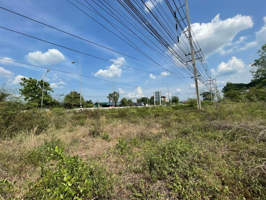 ขายด่วน! ที่ดินเปล่า บนถนนซุปเปอร์เชียงใหม่-ลำปาง จ.ลำพูน