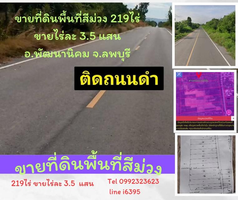 ขายที่ดินพื้นที่สีม่วง 219ไร่ อ.พัฒนานิคม จ.ลพบุรี 1