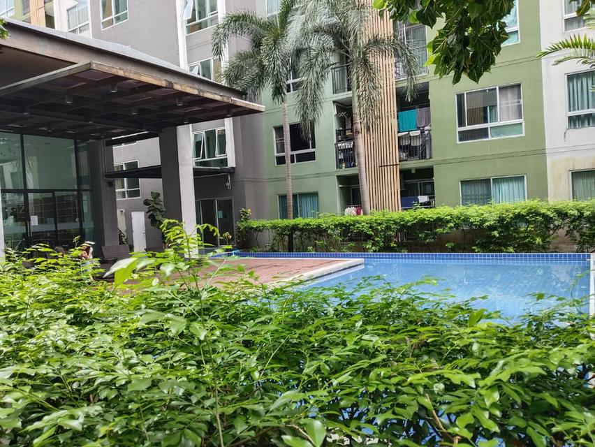 ขายคอนโด วี คอนโด ลาดกระบัง เฟส A ห้องวิวสวน บรรยากาศดี รีโนเวทใหม่ทั้งห้อง สวย สะอาด 11