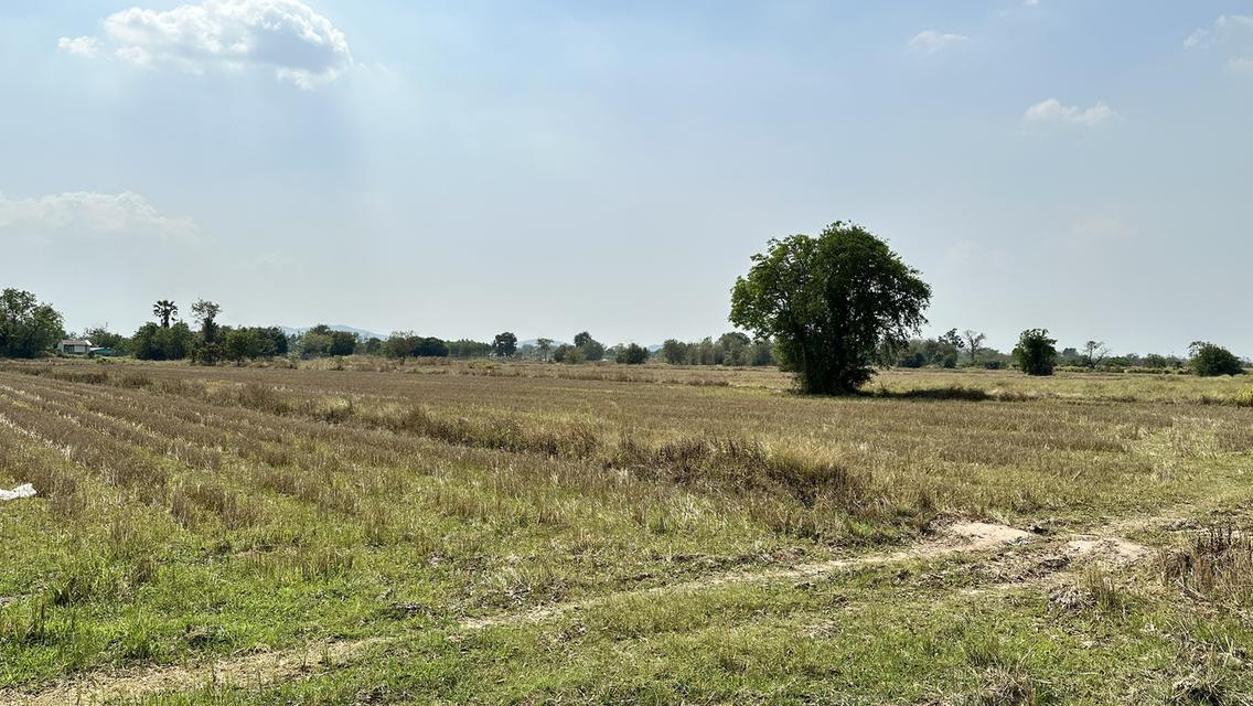 ขายที่นายกแปลง 34 ไร่ 2 งาน 20 ตารางวา ที่สระบุรี 5