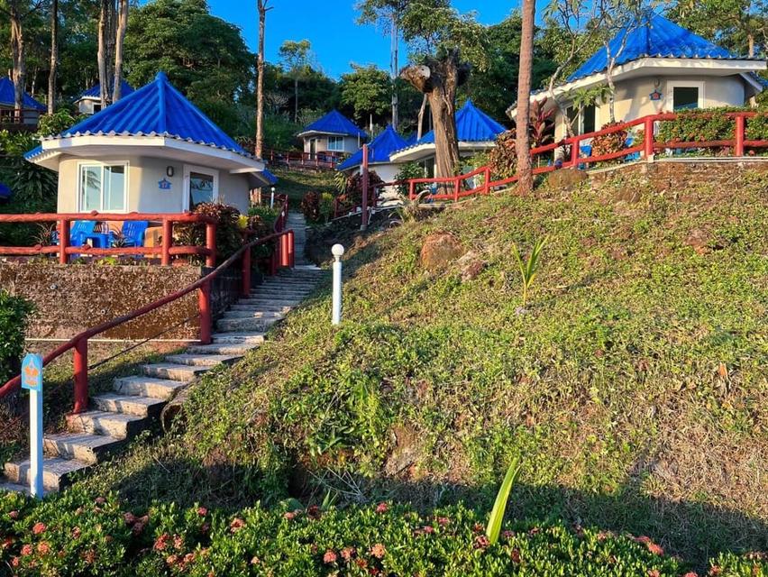 รีสอร์ทเกาะหมาก8ไร่3งาน